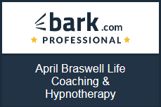 Orange County CA Newport Beach Life Coach Hypnotherapy April Braswell 